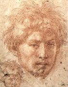 Andrea del Sarto Head of a Young Man Spain oil painting artist
